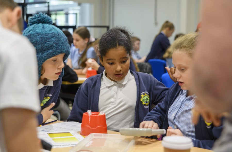 Primary school children conducting an experiment.