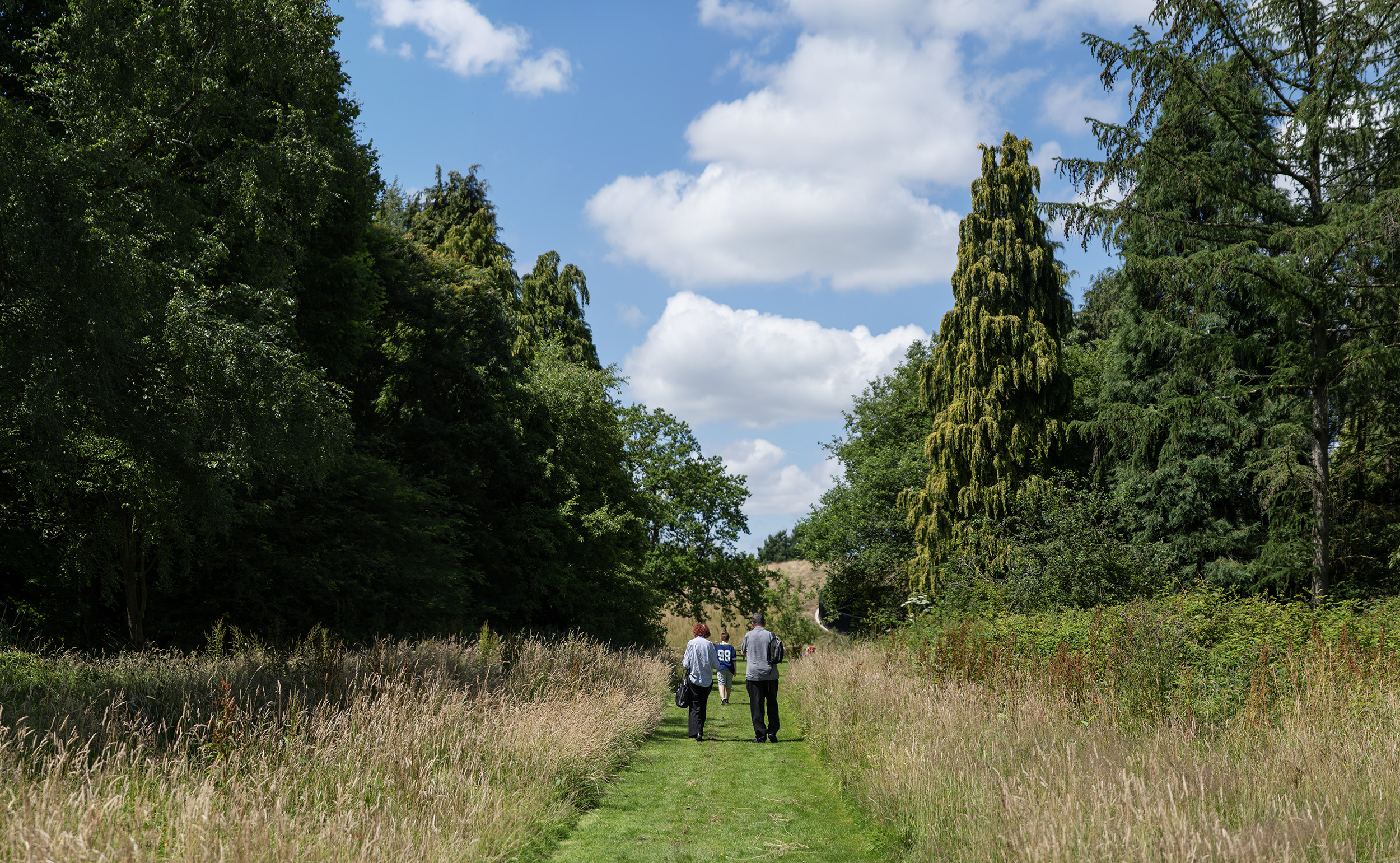 A family walk through the leafy green arboretum.