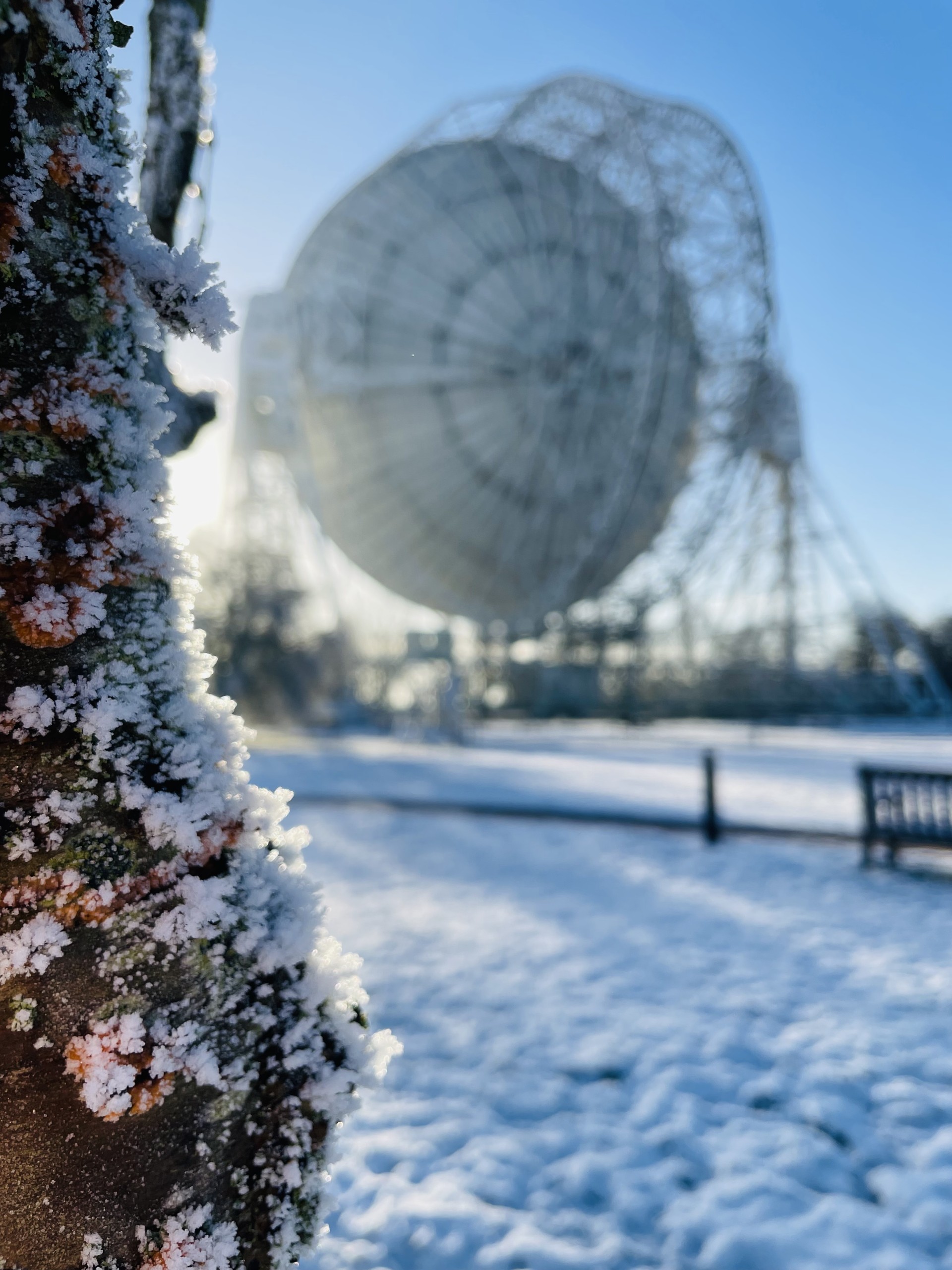 The Lovell Telescope framed by a snowy tree.